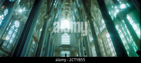 Innenräume einer Kirche, entworfen vom katalanischen Architekten Antonio Gaudi, Sagrada Familia, Barcelona, Katalonien, Spanien Stockfoto