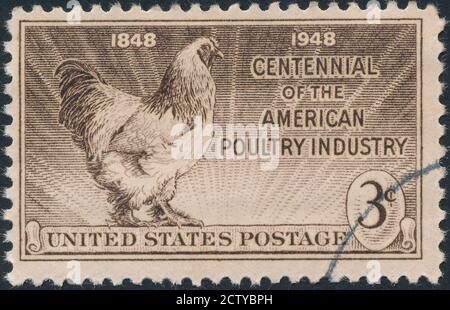 Geflügelindustrie Hundertjahrestempel. Stock Foto Huhn - Vogel, alt, Industrie, Geflügel, 1948 'EIN Stempel gedruckt in den USA zeigt den leichten Brahma Hahn Stockfoto