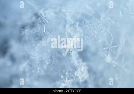 Unschärfere Makrofotografie von Schneeflocken als natürlicher Winterhintergrund in hellblau. Geringe Schärfentiefe, Nahaufnahme. Stockfoto