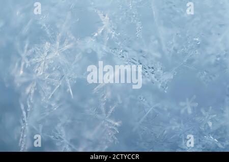 Unschärfere Makrofotografie von Schneeflocken als natürlicher Winterhintergrund in hellblau. Geringe Schärfentiefe, Nahaufnahme. Stockfoto