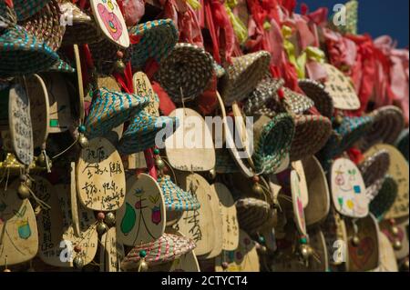 Buddhistische Gebetswünsche (Ema) hängen an einem Schrein auf einem Baum, Altstadt, Lijiang, Provinz Yunnan, China Stockfoto