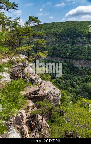 Cloudland Canyon State Park in Rising Fawn, Georgia, USA Stockfoto