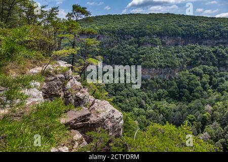 Cloudland Canyon State Park in Rising Fawn, Georgia, USA Stockfoto