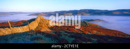 Herbstnebel über dem Tweed Valley am Morgen, Peebles, Scottish Borders, Schottland Stockfoto