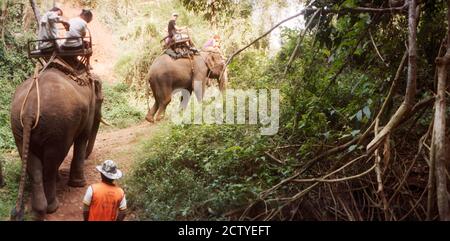 Touristen reiten Elefanten im Elephant Nature Park, Chiang Mai Provinz, Thailand Stockfoto