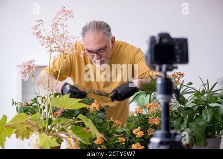Alter männlicher Gärtner mit Pflanzen zu Hause Stockfoto