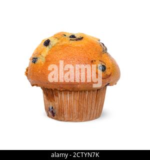 Blaubeer Muffin oder Cupcake mit Papierumschlag. Einige Blaubeeren sind sichtbar. Isoliert auf Weiß. Stockfoto