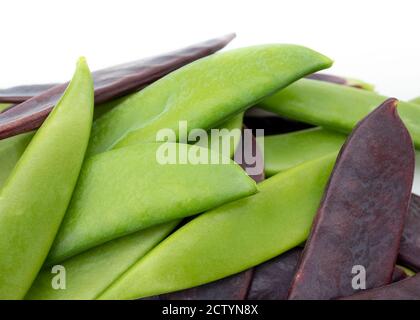 Assortiment von grünen und lila Erbsen. Schnappen Sie Erbsen, Zuckererbsen oder Schneeerbsen. Nahaufnahme, Erbsen unten ausgerichtet. Eiweißreiches Gemüse. Stockfoto