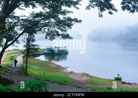 Bootssafari im nebligen See oder nebligen Fluss an einem Wintermorgen im wilden Wald oder Dschungel. Foto vom Boot aufgenommen. Indische Wildtiere. Nationalpark Stockfoto