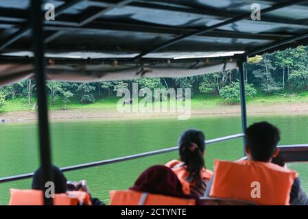 Bootssafari im nebligen See oder nebligen Fluss an einem Wintermorgen im wilden Wald oder Dschungel. Foto vom Boot aufgenommen. Indische Wildtiere. Nationalpark Stockfoto