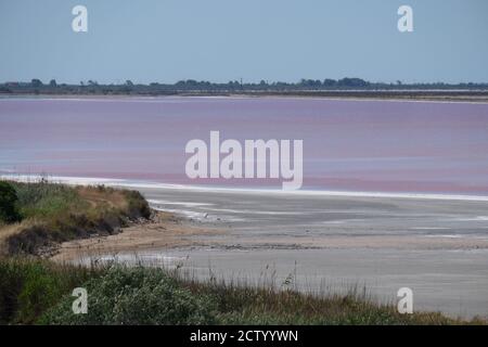 Blick auf den Salinensumpf der salinen, wo natürliches Salz durch Verdunstung in Aigues Mortes, Südfrankreich geerntet wird Stockfoto