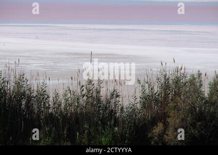 Blick auf den Salinensumpf der salinen, wo natürliches Salz durch Verdunstung in Aigues Mortes, Südfrankreich geerntet wird Stockfoto