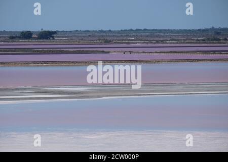 Blick auf den Salinensumpf der salinen, wo natürliches Salz durch Verdunstung in Aigues Mortes, Südfrankreich geerntet wird Stockfoto