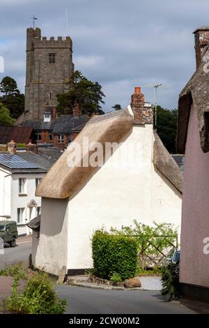 Dunsford Cottages, Devon, in A Row, Großbritannien, England, Frühling, Reetdach, Englische Kultur, Dorf, Britische Kultur, Blumen, Ländliche Szene, Urlaub, Stockfoto