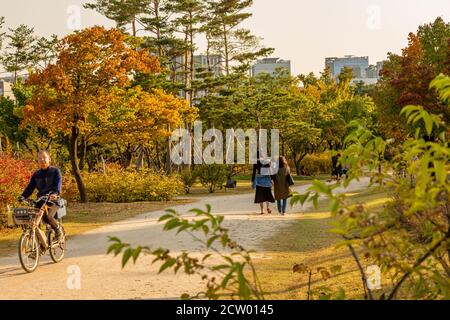 Seoul, Südkorea - 19. Oktober 2017: Touristen, die durch die Gärten des Gyeongbokgung Palastes, Seoul, Südkorea, wandern Stockfoto