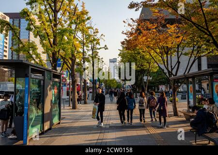 Seoul, Südkorea - 19. Oktober 2017: Am späten Nachmittag auf der Sejongno Straße am Gwanghwamun Platz an einem Herbsttag, Seoul, Südkorea Stockfoto