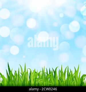 Frühling oder Sommer Natur Hintergrund mit grünem Gras, blauen Himmel und Bokeh. Vektorgrafik Stock Vektor