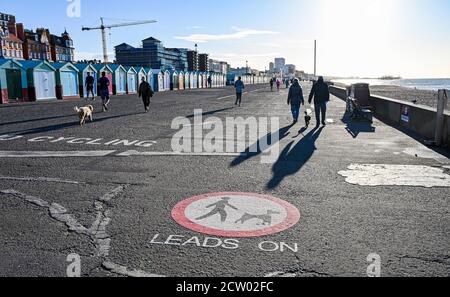 Brighton, Großbritannien. September 2020. Spaziergänger mit einer Warnung an Hundewanderer, Haustiere an der Leine zu halten, genießen das helle sonnige, aber kalte frühe Morgenwetter entlang der Küste von Hove an der Südküste. : Credit: Simon Dack/Alamy Live News Stockfoto