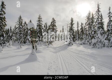 Hölzerne Wegweiser auf Ski Tracks bei sonniges Winterwetter Stockfoto