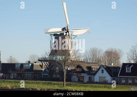 Gerüstmühle, Windmühle im niederländischen Dorf Koedijk hinter den Häusern. Die Klingen drehen sich im Wind. Es ist eine Mehlmühle. Niederlande, Dezember Stockfoto