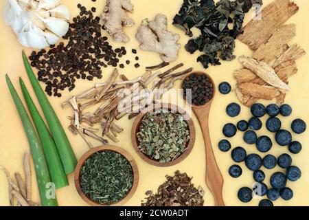 Adaptogen Kräutermedizin & Gesundheit Lebensmittel mit natürlichen pflanzlichen Lebensmitteln, die den Körper mit Stress umgehen helfen. Stockfoto