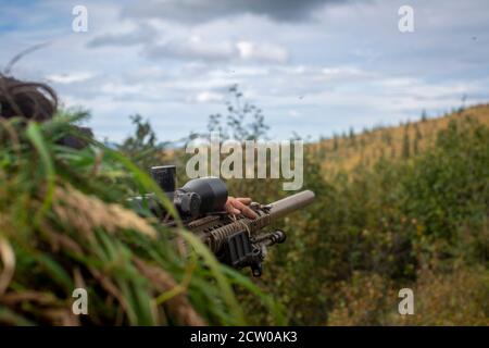 Eine US-Marine mit Charlie Company, 1. Aufklärungsbataillon, 1. Marine Division mit einem M110 Semi-Automatic Sniper System während einer Live-Feuer-Reichweite als Teil einer Marine Corps Combat Readiness Evaluation (MCCRE) auf der Eielson Air Force Base, Alaska, 27. August 2020. Das MCCRE wird verwendet, um Erkundungsmarinen für ihre bevorstehende Bereitstellung zu zertifizieren und zu bewerten. (USA Marine Corps Foto von CPL. Israel Chincio) Stockfoto