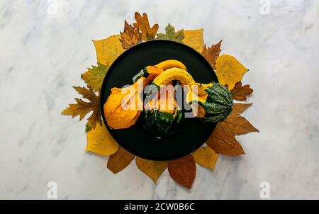 Herbst- und Erntedankfest mit gefallenen Blättern und dekorativen Kürbissen auf dem hellen Marmortisch. Stockfoto