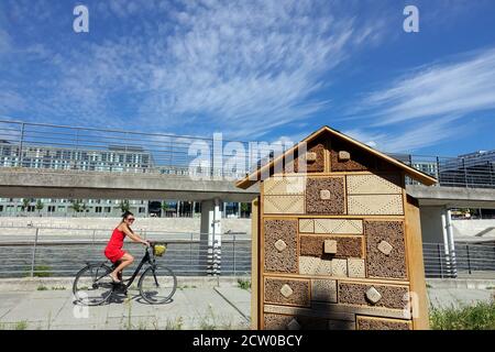 Bienenhotel für einsame Bienen Berlin Frau Fahrrad City am Fluss Berlin Radfahrer Stockfoto