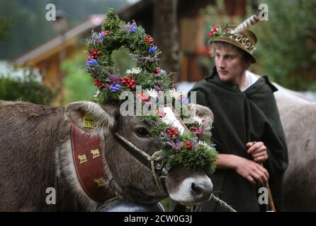 Bad Hindelang, Deutschland. September 2020. Ein Hirte steht neben einer kranzbemalten Kuh bei der Rindertrennung im Ostrachtal. Quelle: Karl-Josef Hildenbrand/dpa/Alamy Live News Stockfoto