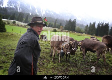 Bad Hindelang, Deutschland. September 2020. Ein Hirte steht vor seinen Tieren an der Viehtrennung im Ostrachtal. Quelle: Karl-Josef Hildenbrand/dpa/Alamy Live News Stockfoto