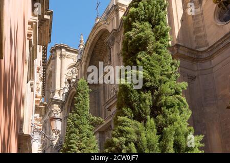 Granada,Spanien-11. august 2017:Spaziergang in Granada in der Nähe der Kathedrale an einem sonnigen Tag. Stockfoto