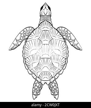 Kontur schwarz-weiße Darstellung der Schildkröte. Das Objekt ist vom Hintergrund getrennt. Lineare Illustration für den Druck auf T-Shirts, Abdeckungen, sket Stock Vektor