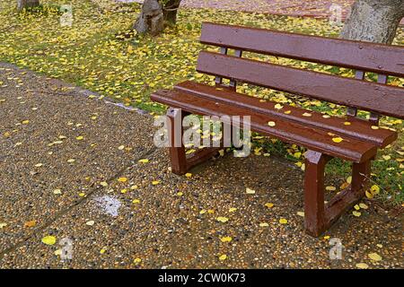 Leere Holzbank mit Regentropfen im Herbstpark Stockfoto