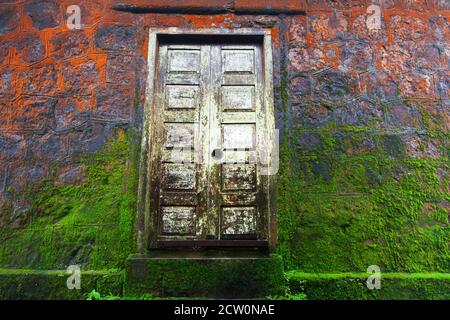 Abstraktes orangefarbenes und grünes Moos, das auf der weißen hölzernen Tür und der Sandsteinwand Textur des alten Tempels wächst. Wat Sampov Pram, Kampot, Kambodscha. Stockfoto