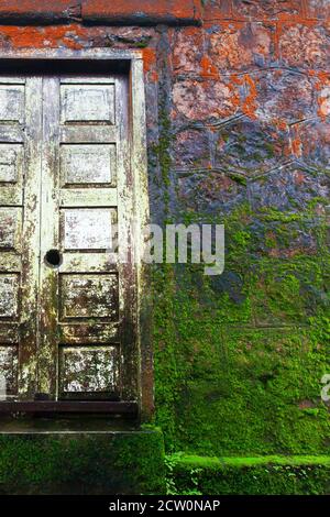 Abstraktes orangefarbenes und grünes Moos, das auf der weißen hölzernen Tür und der Sandsteinwand Textur des alten Tempels wächst. Wat Sampov Pram, Kampot, Kambodscha. Stockfoto