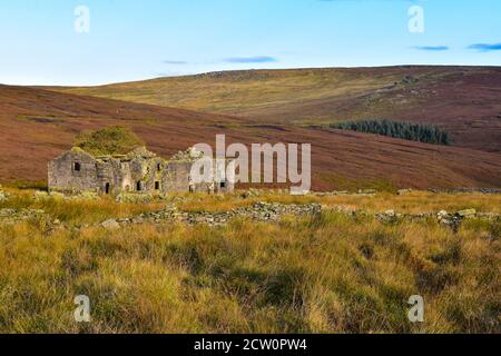 Raistrick Greave, Heptonstall Moor, Pennines, West Yorkshire, Großbritannien Stockfoto