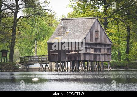 Stelzenhaus mit Holzschindeldach, umgeben von Laubwald, Teich in Thüringen, Deutschland Stockfoto