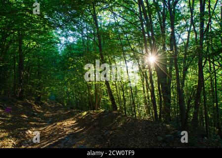 Wanderweg im Naturschutzgebiet Montagne della Duchessa Stockfoto