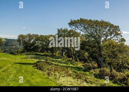 Ländliche Szenen in der Nähe des Caerau Hillfort, oberhalb von Rhiwsaeson, in der Nähe von Llantrisant, Südwales an einem sonnigen Septembertag, Südwales Stockfoto