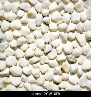 Weiße Kieselsteine Hintergrund. Kiesstruktur Stockfoto