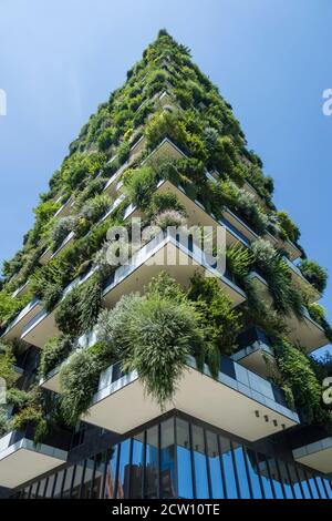 Moderne, futuristische Gebäude namens Vertical Wood in Mian. Stockfoto