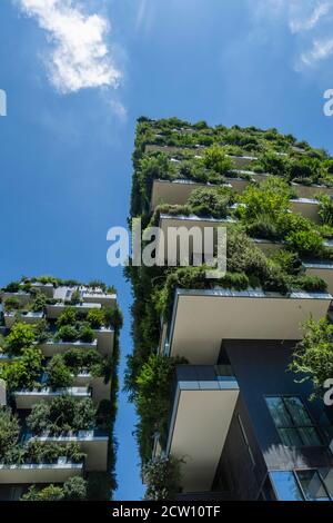 Moderne, futuristische Gebäude namens Vertical Wood in Mian. Stockfoto