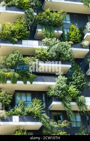 Moderne, futuristische Gebäude namens Vertical Wood in Mian. Stockfoto