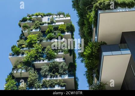 Moderne, futuristische Gebäude namens Vertical Wood in Mian. Stockfoto