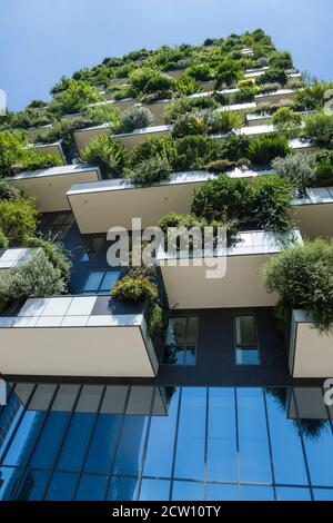 Moderne, futuristische Gebäude namens Vertical Wood in Mian. Stockfoto