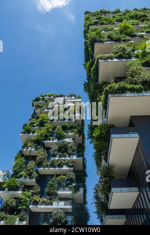 Moderne, futuristische Gebäude namens Vertical Wood in Mian. Stockfoto