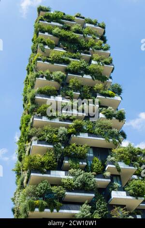 Moderne, futuristische Gebäude namens Vertical Wood in Mian. Stockfoto