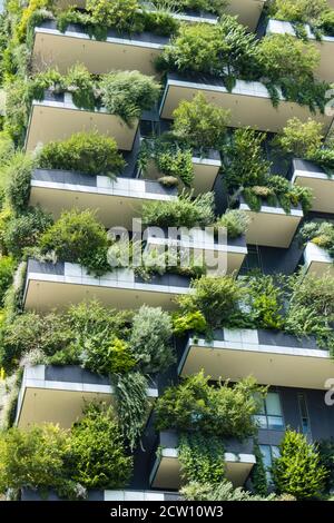 Moderne, futuristische Gebäude namens Vertical Wood in Mian. Stockfoto