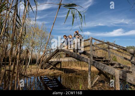 Vögel beobachten, Parc Natural S’Albufera de Mallorca, Mallorca, Balearen, Spanien Stockfoto