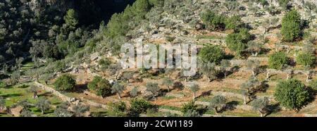 Rotes de Caimari, Gemeinde von Selva, Brunnen von kulturellem Interesse, Mallorca, Balearen, Spanien Stockfoto